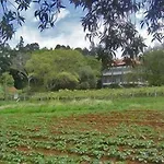カントリーハウス Quinta Colmeias Santo Antonio da Serra