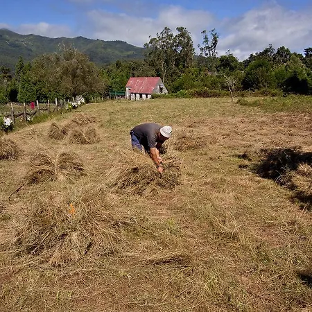 Quinta Colmeias * Santo Antonio da Serra