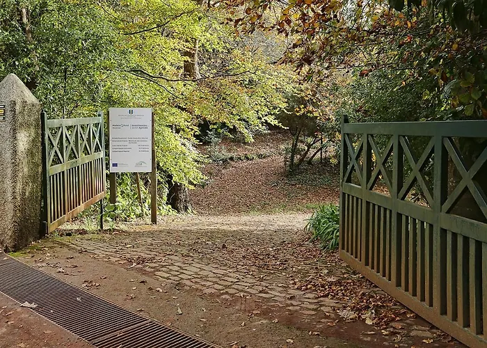 בית כפרי Quinta Colmeias