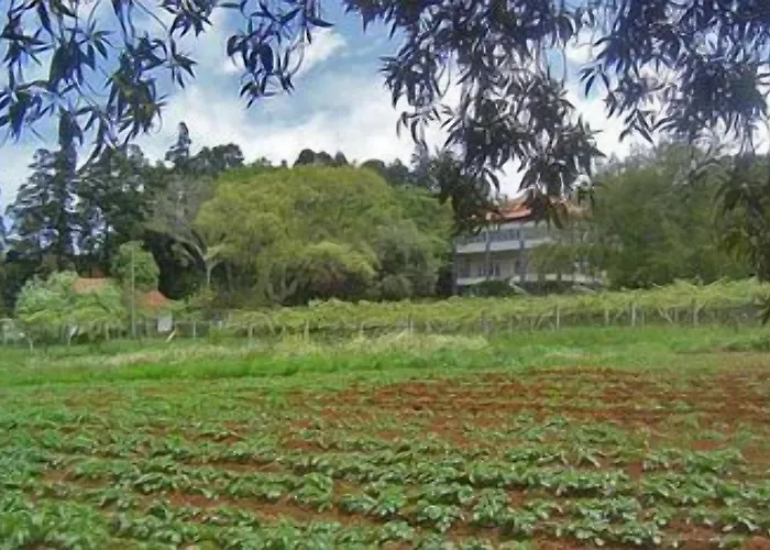 Séjour à la campagne Quinta Colmeias Santo Antonio da Serra