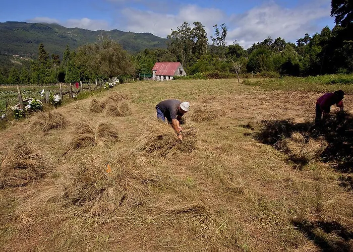 Quinta Colmeias * Santo Antonio da Serra